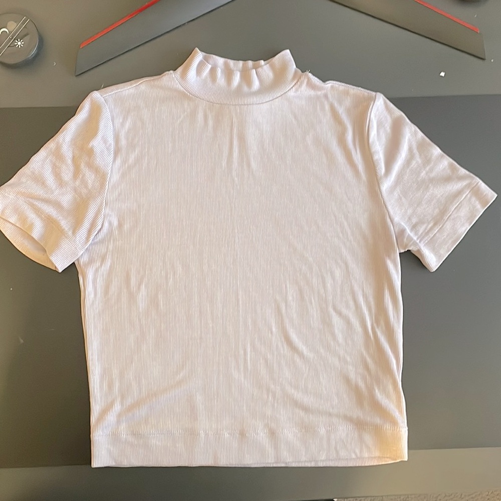 Aritzia Babaton Gonzalo Shirt